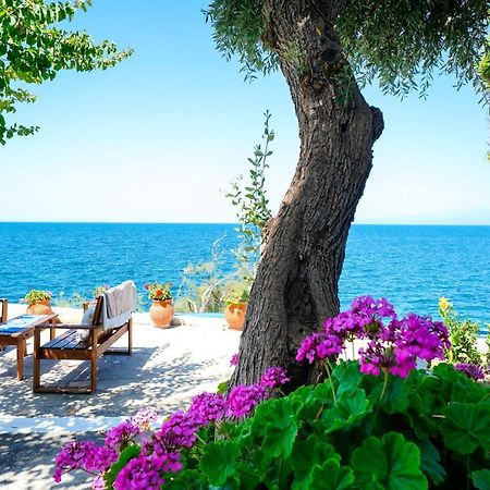 Skala Mare Apartment Skala Marion Luaran gambar