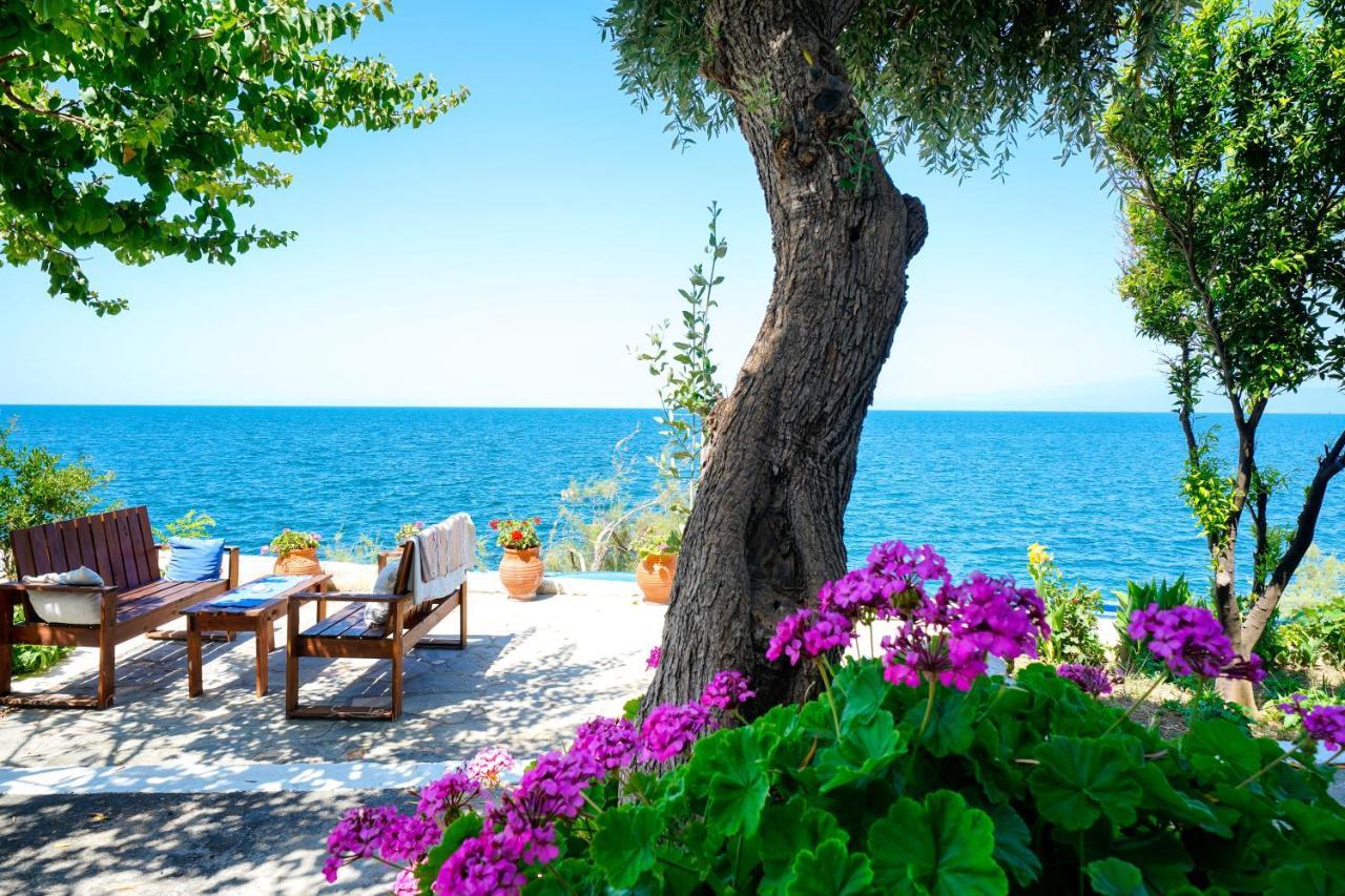 Skala Mare Apartment Skala Marion Luaran gambar